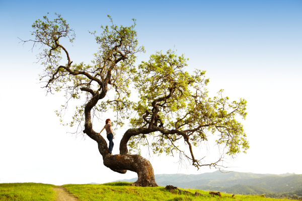 Sygnifi Networks Vision